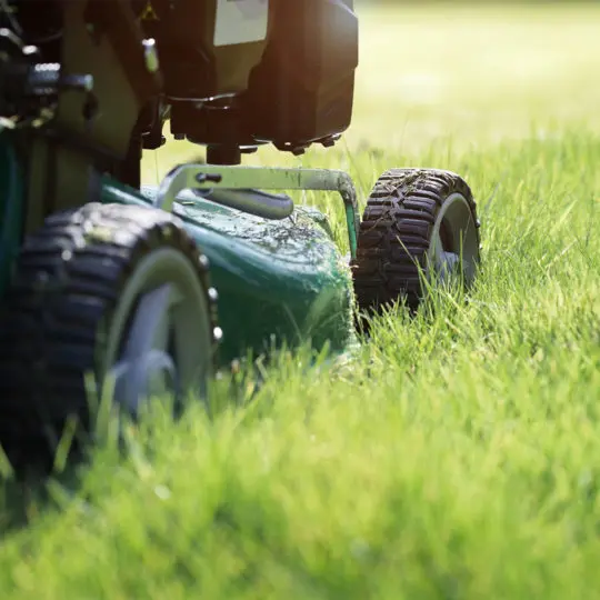 Is Trugreen Worth It A National Company Vs DIY Vs Local Lawn Care