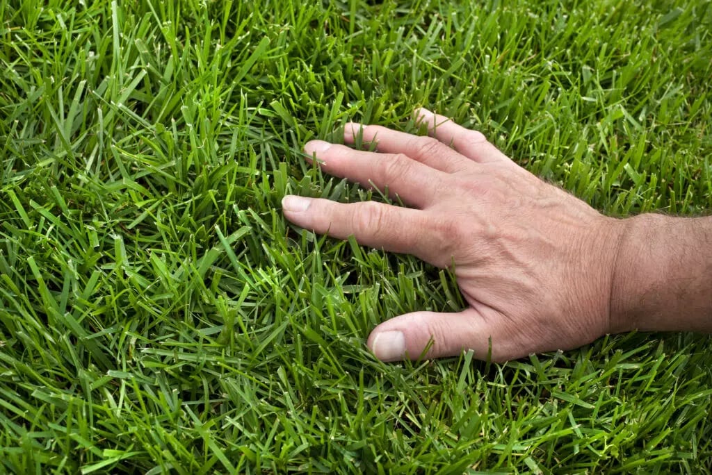 Lawn Care PA, NJ, DE