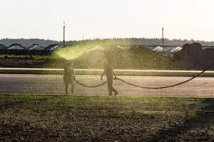 Hydroseeding a liquid lawn by spraying the mixture from a hose