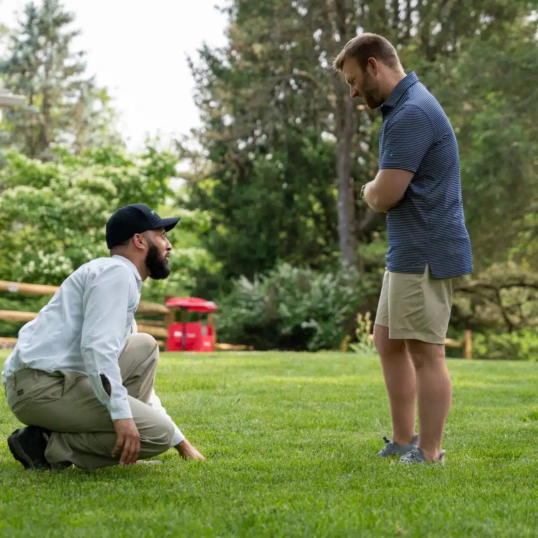 lawn care technician looking at a green lawn