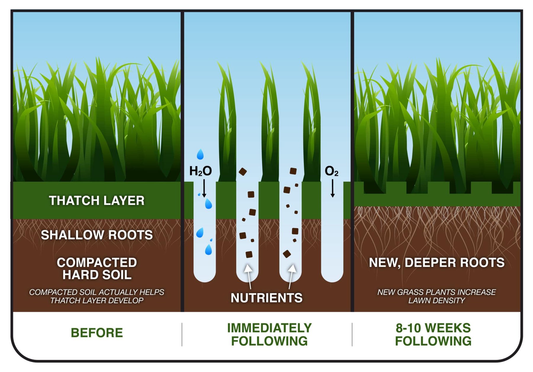 Aeration and Seeding Services | Green Lawn Fertilizing PA, NJ & DE