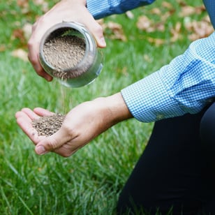 lawn technician pouring lime stone out of a glass jar