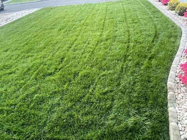 Philadelphia Lawn Care