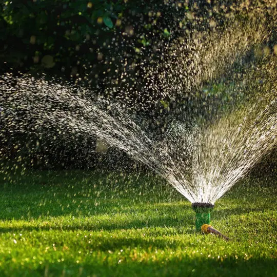 How Should I Water Grass? - Green Lawn Fertilizing